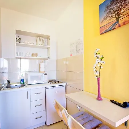 Apartment Racic Mlini